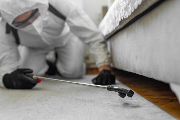 Professional Cockroach Control technician working in DeKalb County County, GA